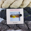  Eclipse Stitch Marker Set by Katrinkles sold by Lift Bridge Yarns