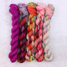   Cat's Meow Collection | Classic Sock | 5 Mini Skein Set (Berry) by Spun Right Round sold by Lift Bridge Yarns