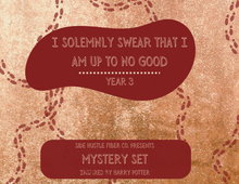  I Solemnly Swear That I Am Up To No Good - Year 3 | A Harry Potter Themed Holiday Mini Skein 2025 Advent