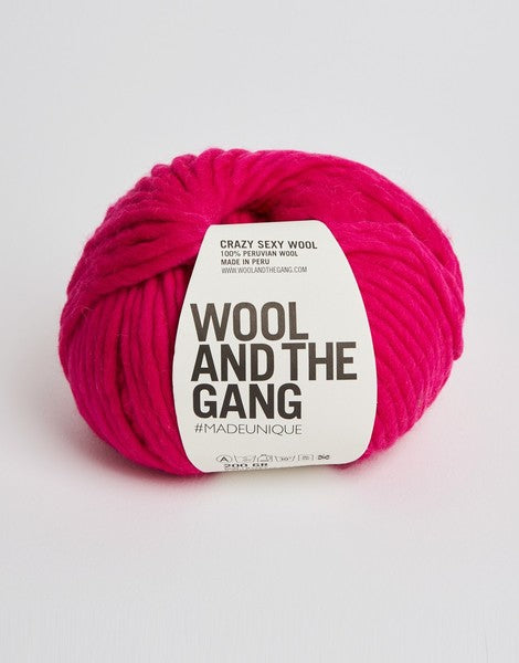  Crazy Sexy Wool by Wool and the Gang sold by Lift Bridge Yarns