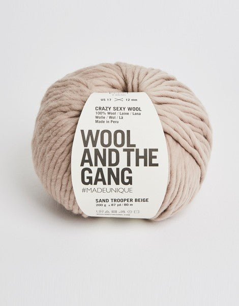  Crazy Sexy Wool by Wool and the Gang sold by Lift Bridge Yarns