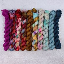   Cat's Meow Collection | Classic Sock | 10 Mini Skein Set by Spun Right Round sold by Lift Bridge Yarns