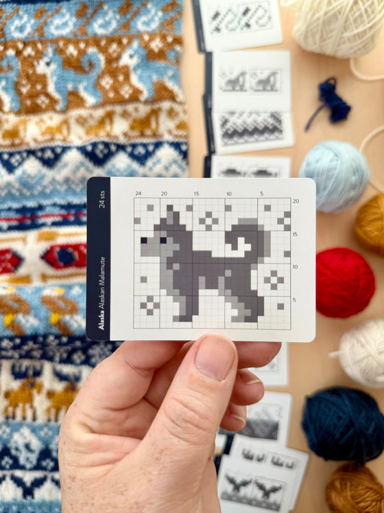 Alaska Doodle Deck | Destination Foil Pack