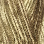 Encore Colorspun Chunky | Yarn - Bulky