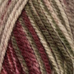 Encore Colorspun Chunky | Yarn - Bulky