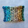  Classic Sock | Mini Skein Sets by Spun Right Round sold by Lift Bridge Yarns